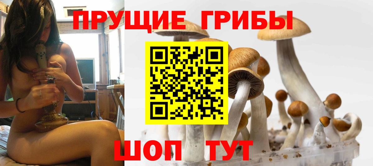 Псилоцибиновые грибы мухоморы  Вход с VPN  где продают   Саров  Псилоцибиновые грибы прущие грибы 